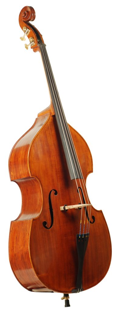 Shen SB200 Willow Roundback Bass | J.R. Judd Violins