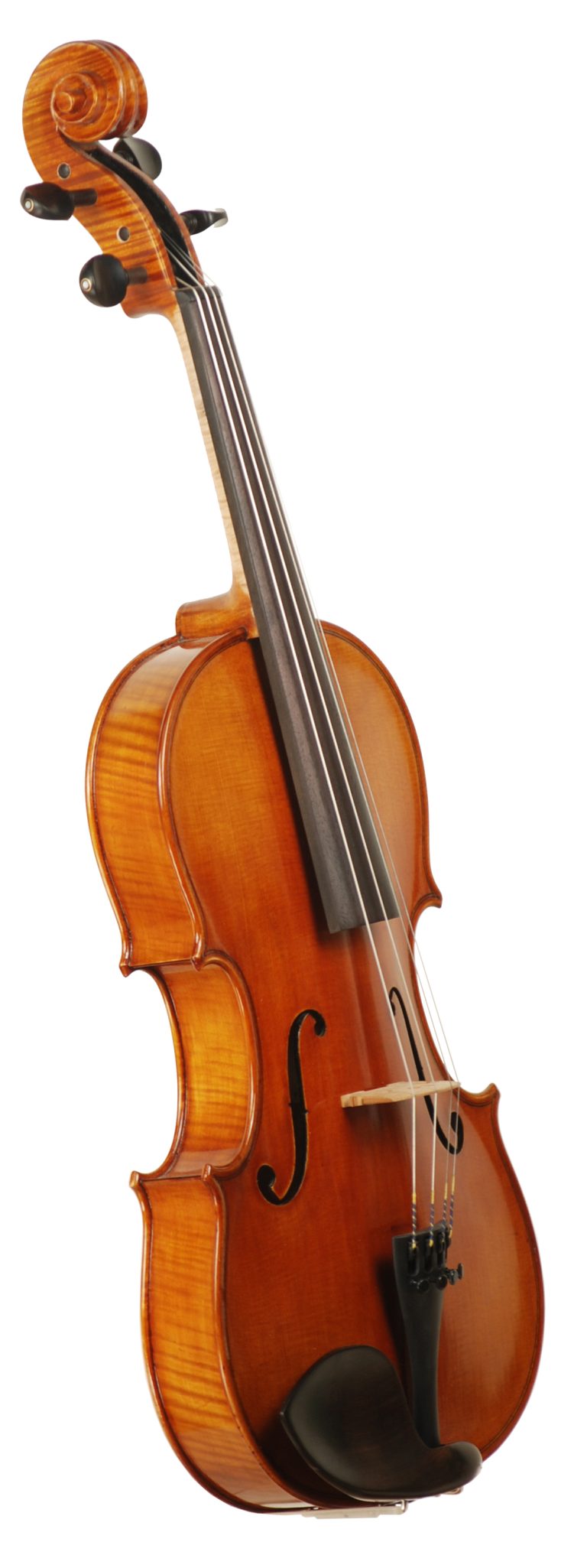 Carolina Series 15 1/2″ Viola J.R. Judd Violins