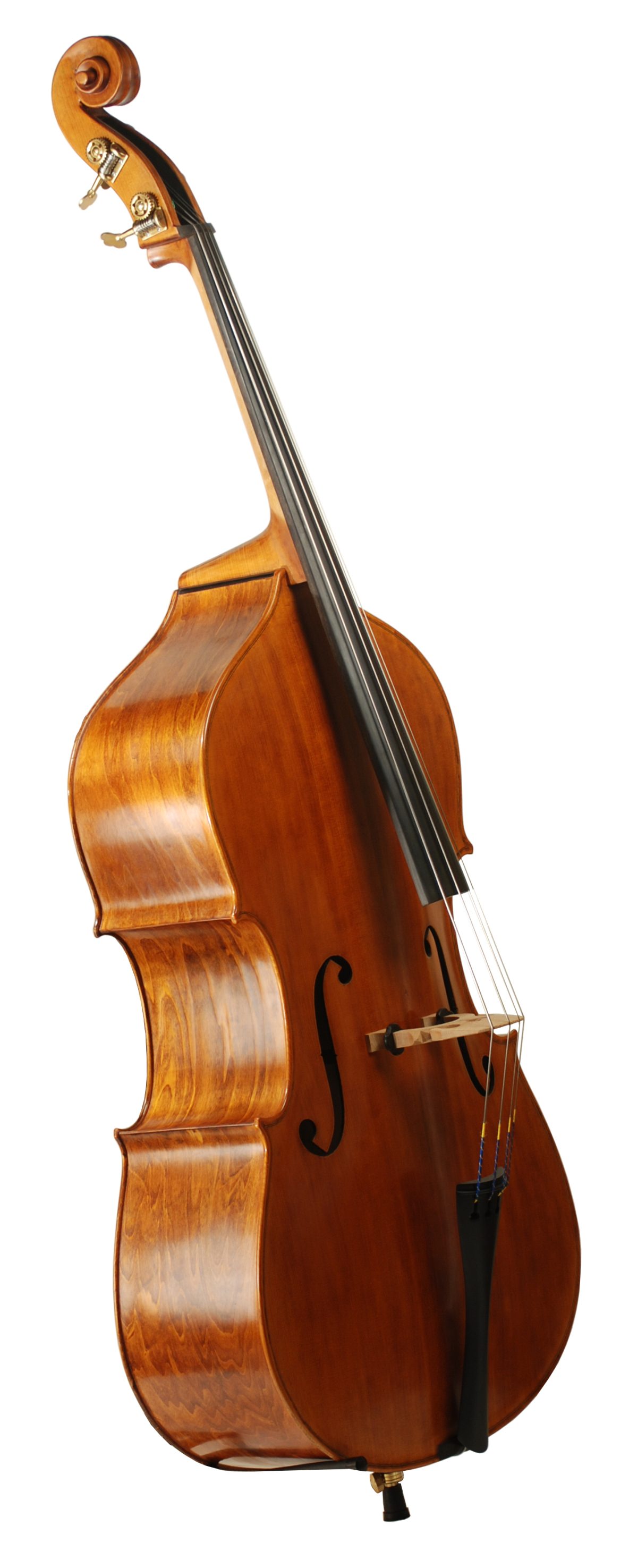 Samuel Shen Model 200 Rogeri Model Bass | J.R. Judd Violins